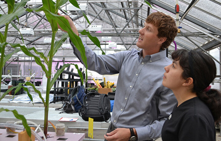 This photo shows Zully Perez Sierra working with her mentor in an East Campus lab on her summer research project involving the use of nanoparticles to deliver micronutrients to corn.